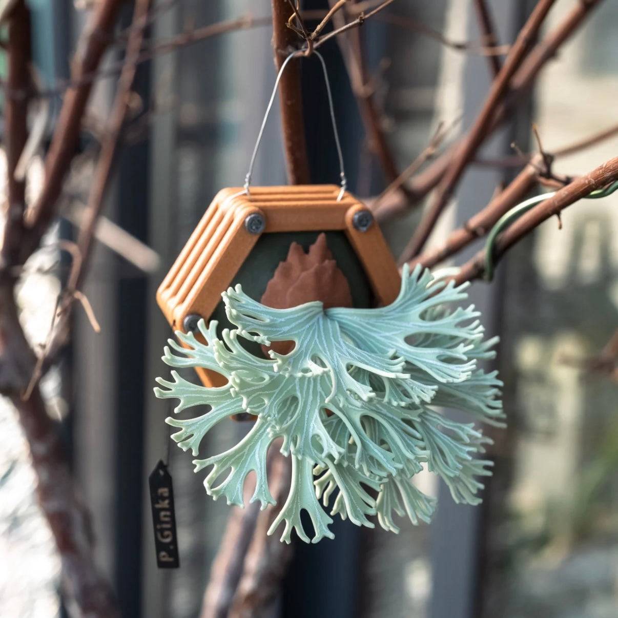 Handmade 3D-printed P. Ginka magnet with detailed Platycerium design, made from PLA and PETG. Unique decorative accent for home & garden spaces.