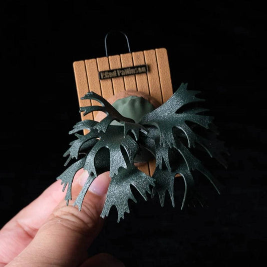 P. Rod Pattinson handmade aesthetic magnet featuring a 3D-printed Platycerium design on a wooden base. Perfect for home and garden decor.