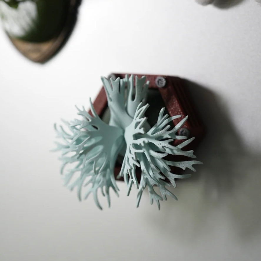 3D-printed P. Bacteria magnet with a Willinckii-inspired design, mounted on a surface. Handmade using PLA and PETG for unique home decor.