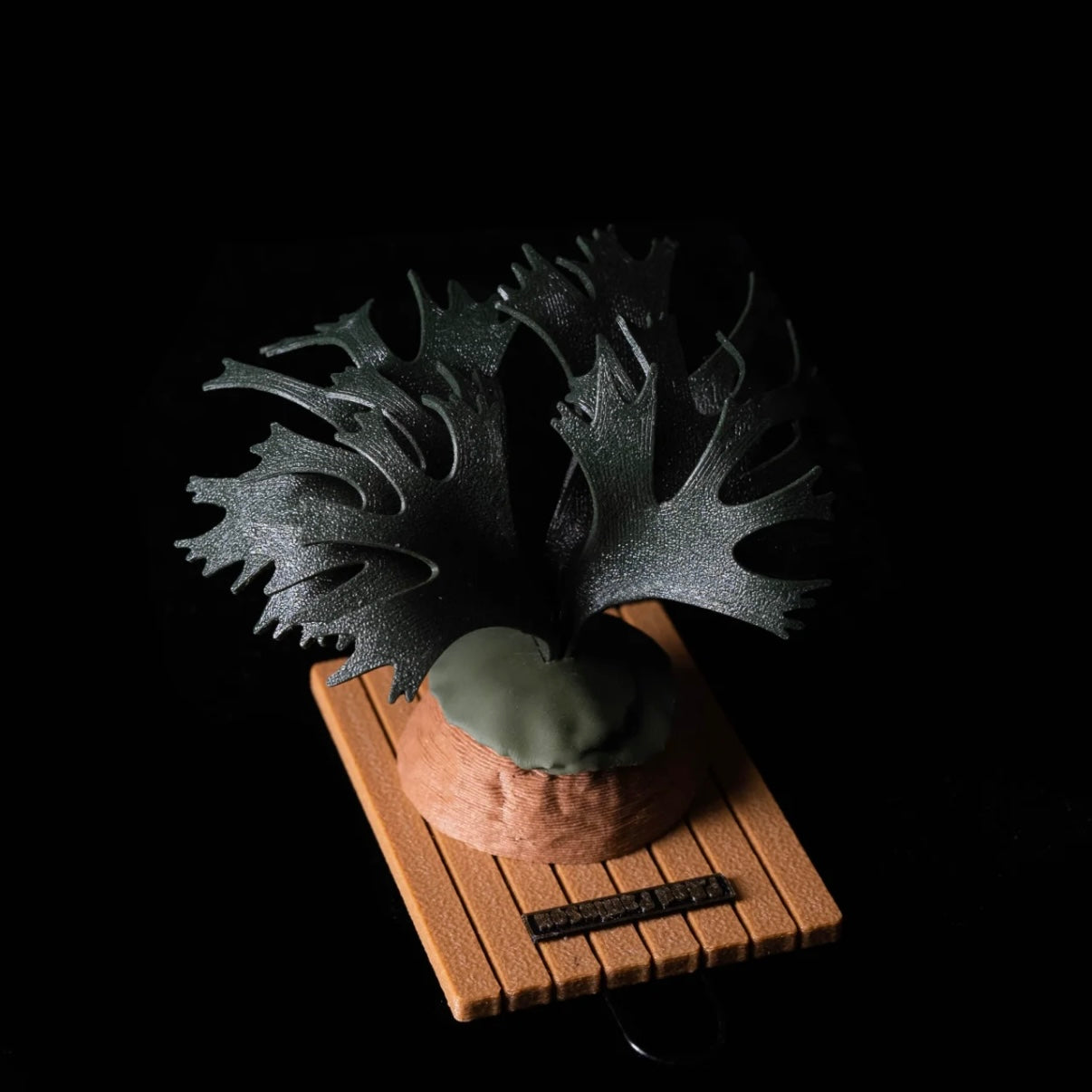 P. Rod Pattinson - Handmade Aesthetic Magnet featuring a 3D-printed Platycerium design. Perfect for home and garden decor with a unique touch.