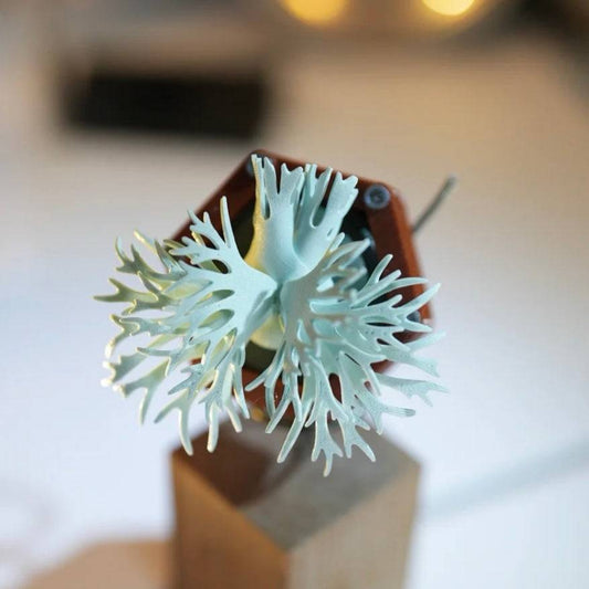P. Bacteria handmade magnet featuring a 3D-printed Willinckii design in PLA and PETG materials. Aesthetic home decor piece with intricate details.
