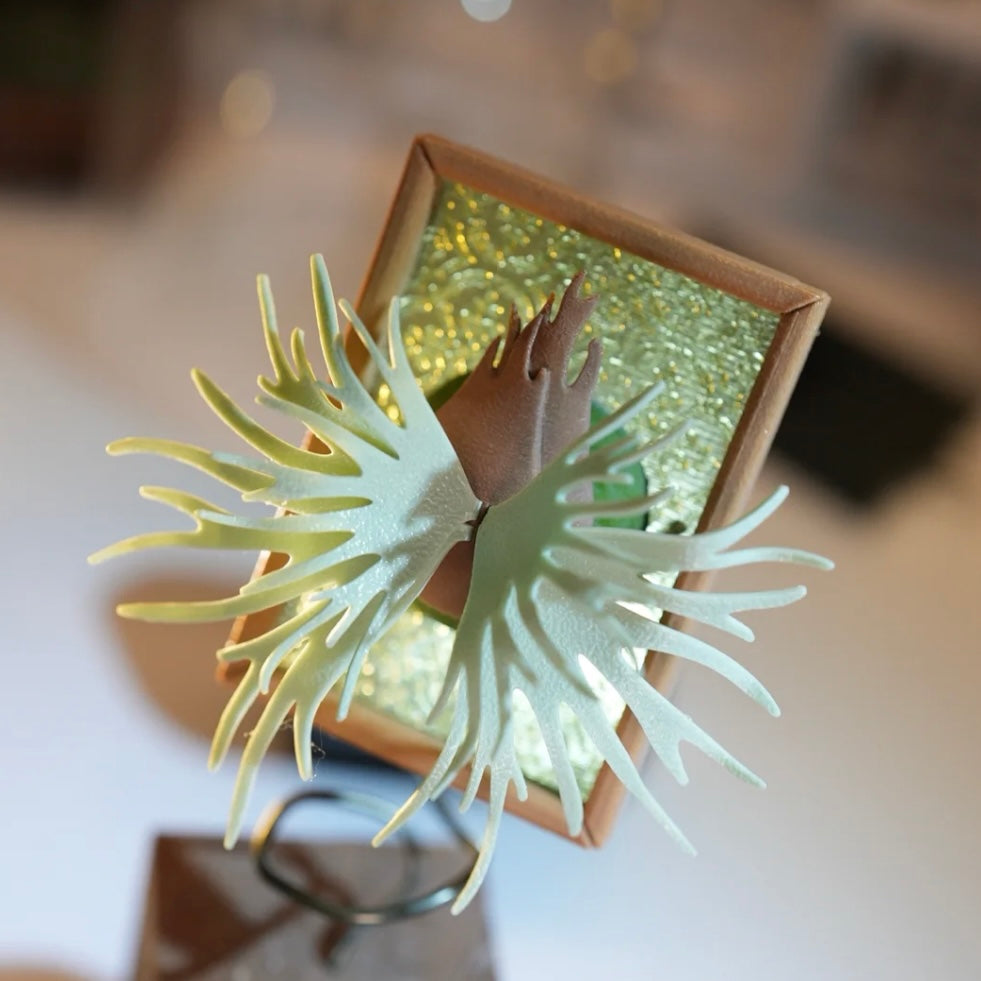 P. Jade Girl handmade decorative magnet featuring a 3D printed Willinckii design in PLA and PETG. Unique home & garden decor from HCorchids.