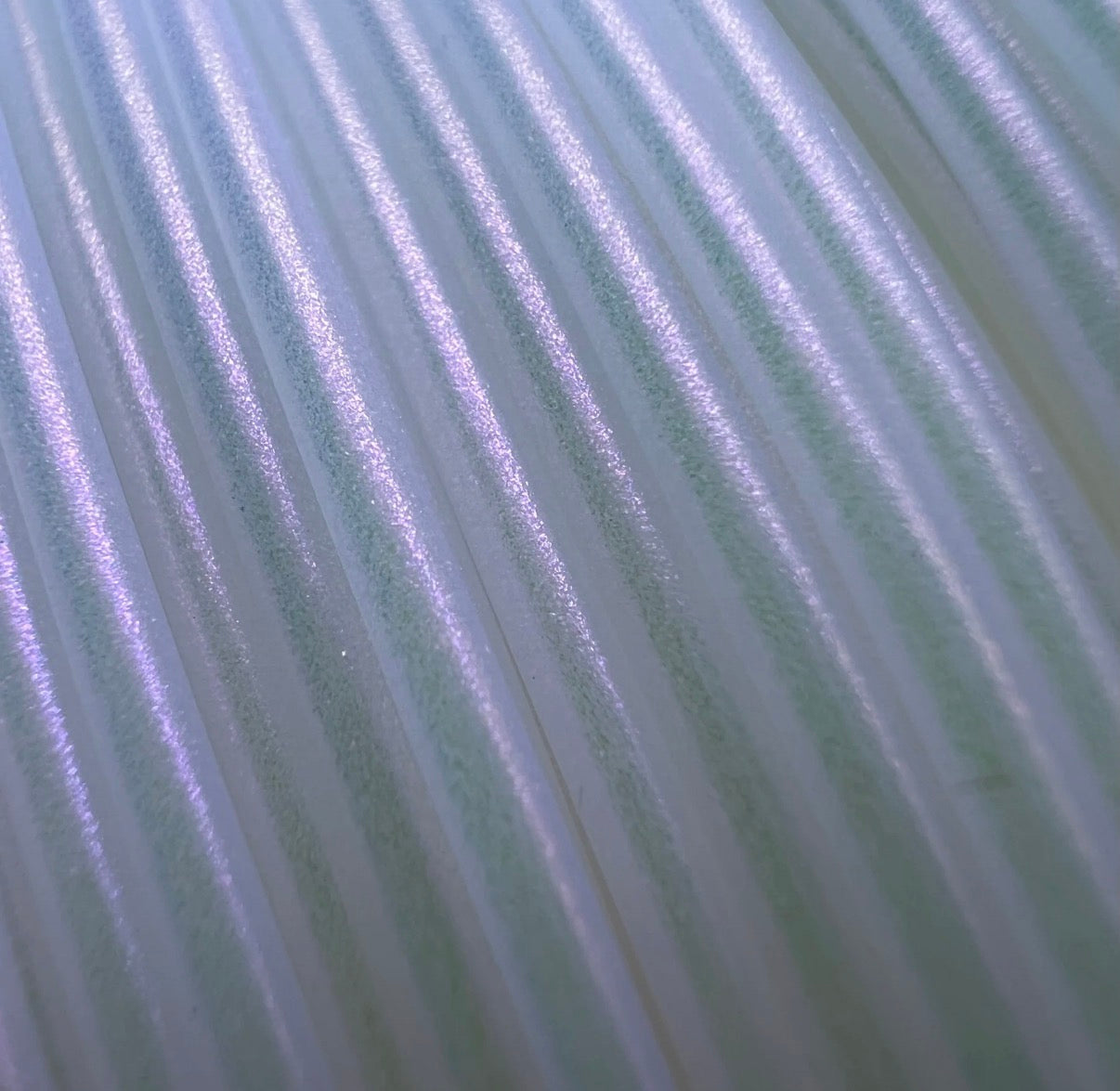 HCorchids