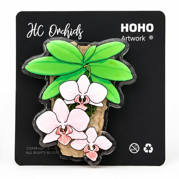 Phalaenopsis Magnet