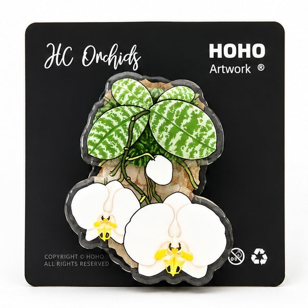 Phalaenopsis Magnet