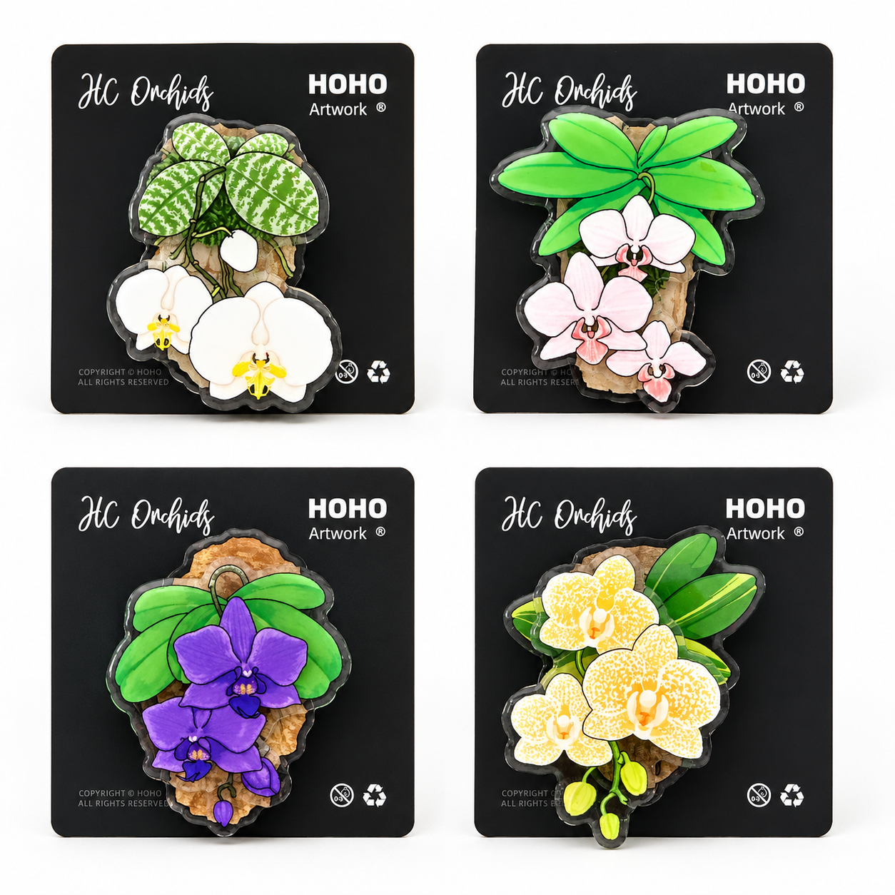 Phalaenopsis Magnet