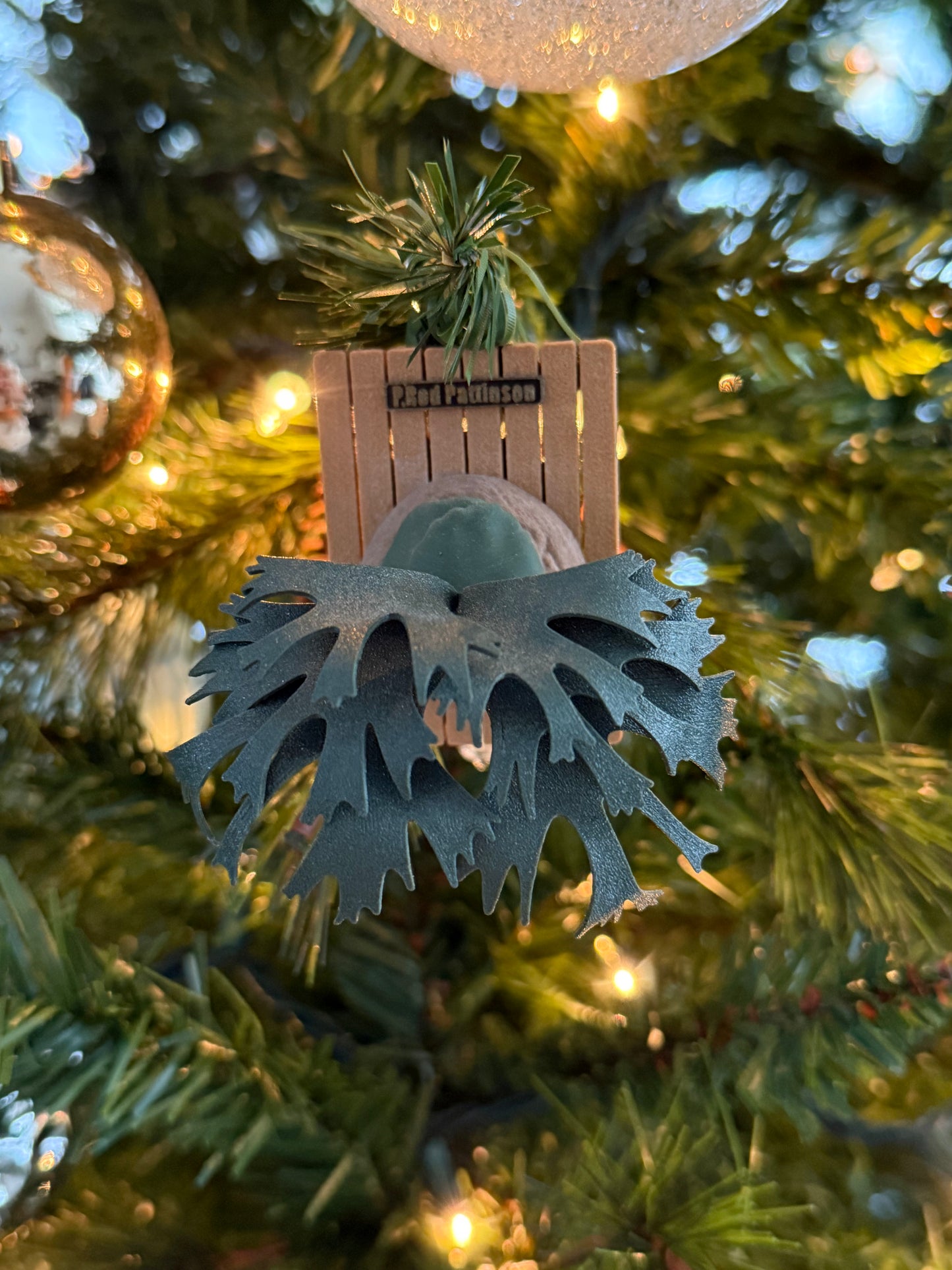 Platycerium Rod Pattinson