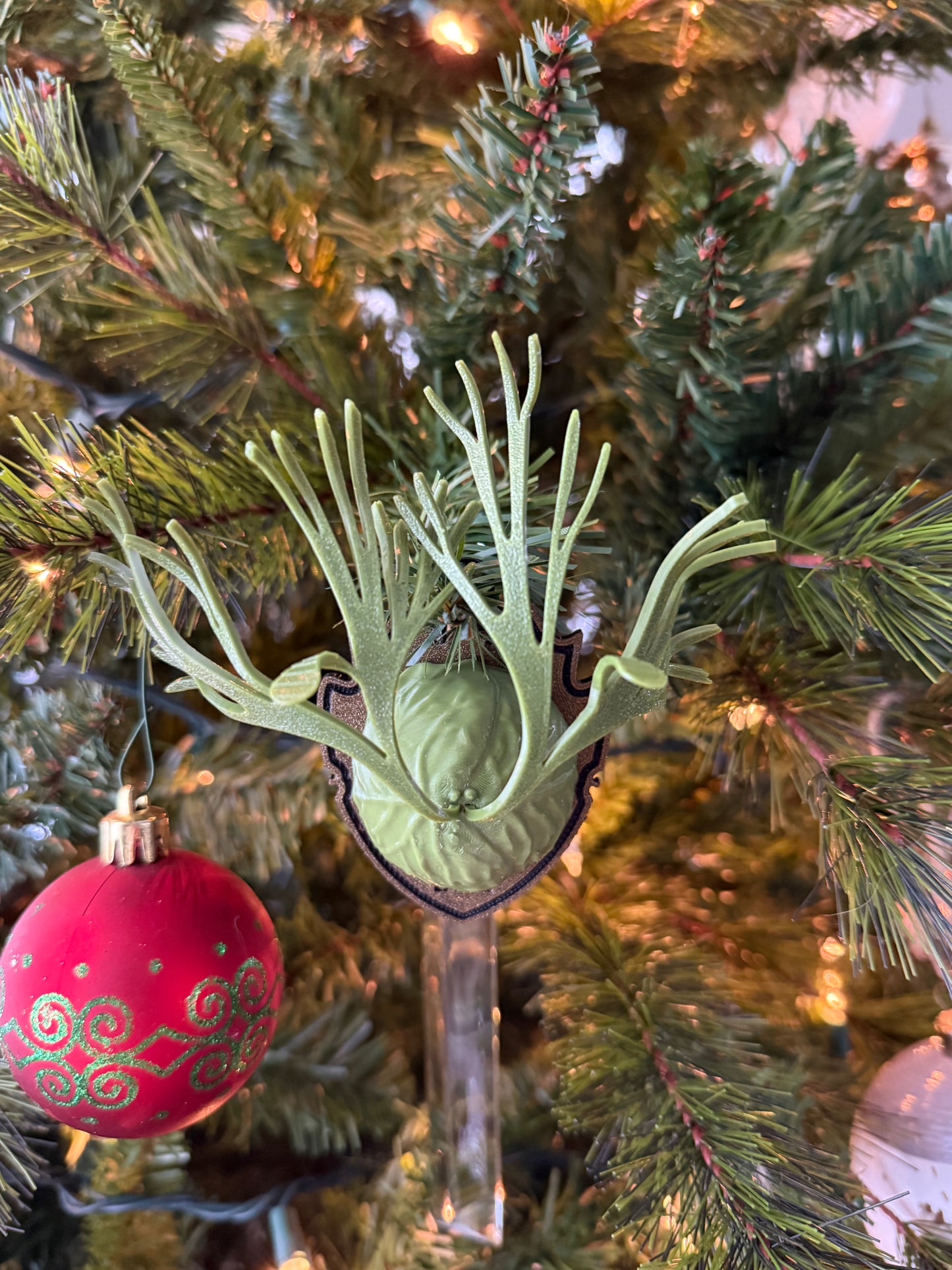 P. Ridley handmade Platycerium Willinckii ornament used as a holiday tree decoration, blending botanical design with festive decor.