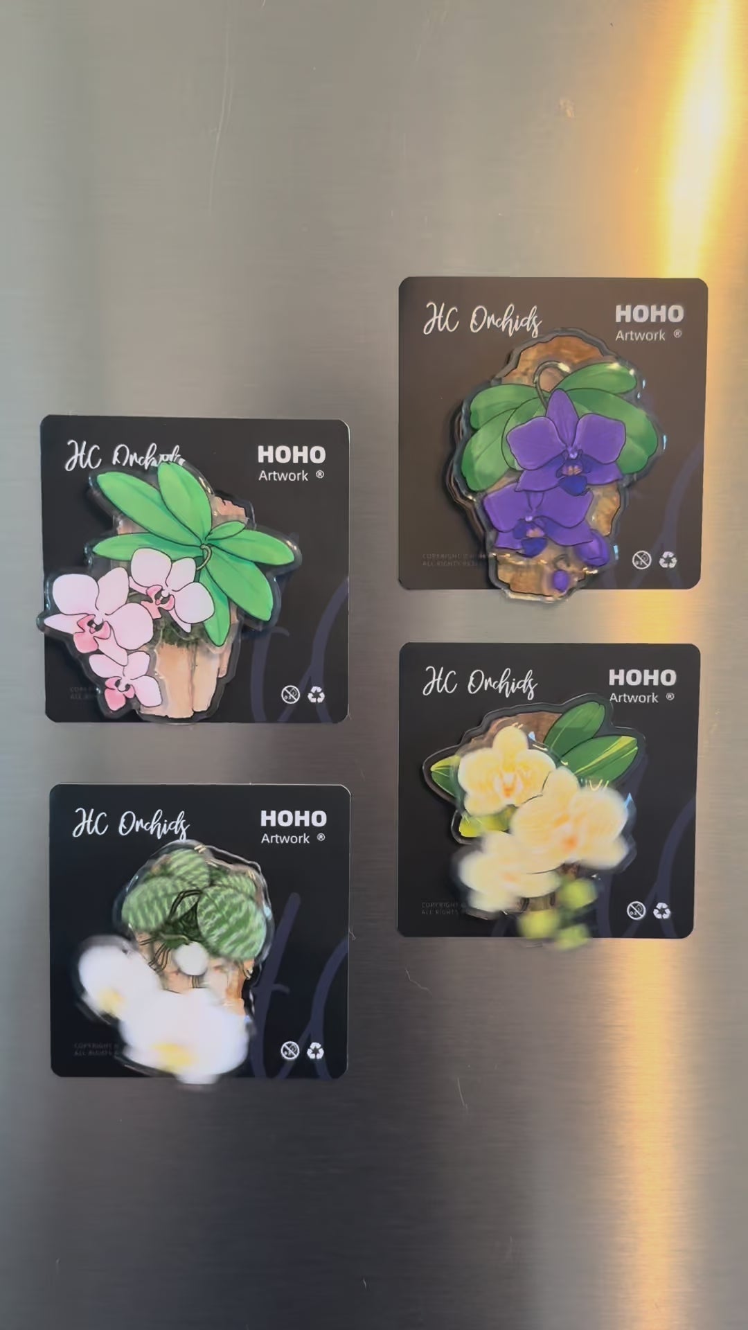 HCorchids